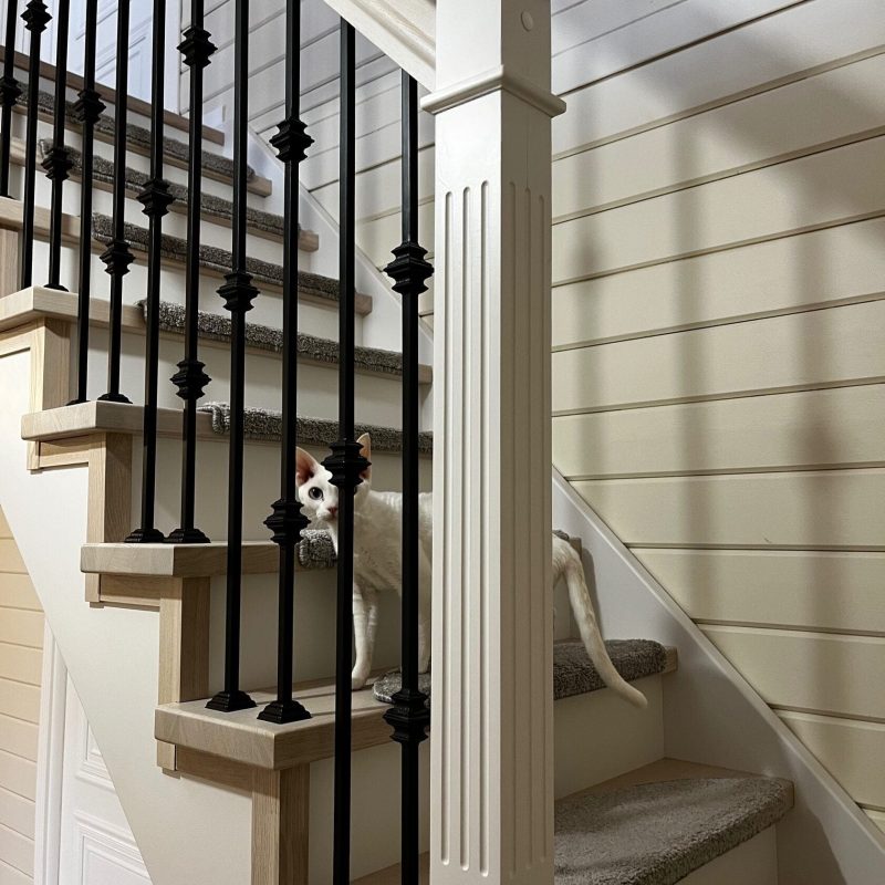 П-образная деревянная лестница из ясеня с заходной площадкой